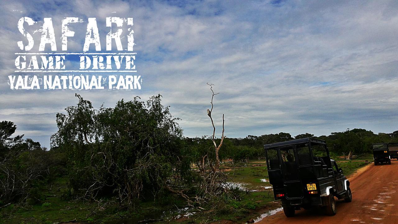Kottamba Yala Stay & Safari ティッサマハーラーマ エクステリア 写真